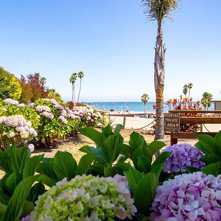 Edgewater Beach Inn Santa Cruz Exterior foto