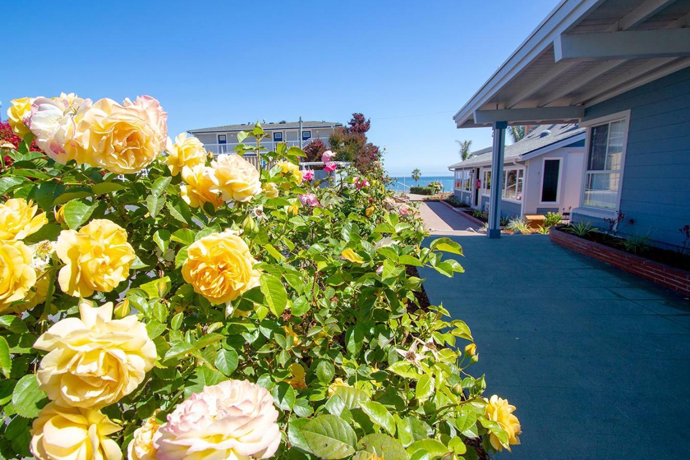 Edgewater Beach Inn Santa Cruz Exterior foto